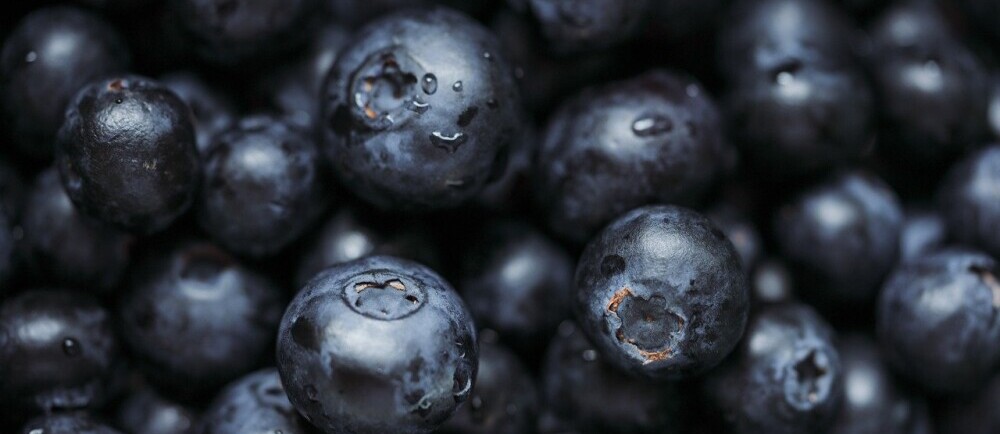 Blueberries